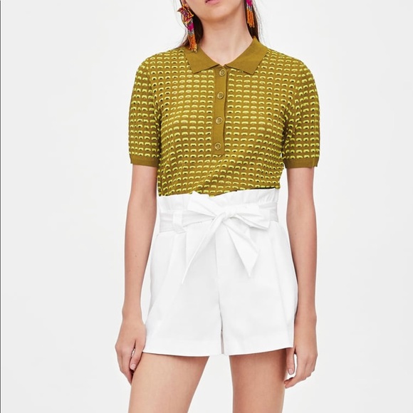 Zara Pants - ZARA paper bag shorts
